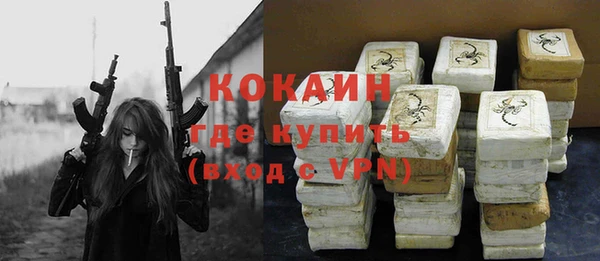 гидра Абаза
