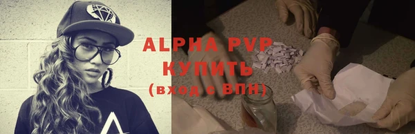 стаф Абинск
