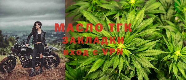 гидра Абаза