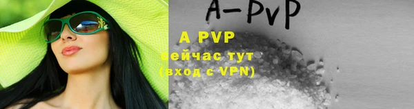 гидра Абаза