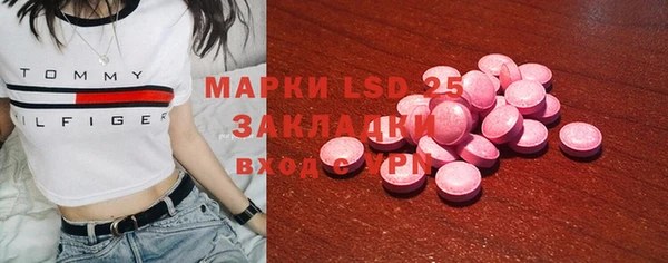 стаф Абинск